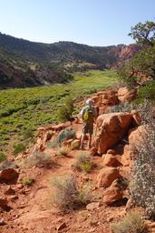 John looks up toward hemlock meadow [sun aug 31 16:02:22 mdt 2025]